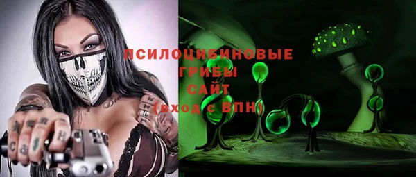 ECSTASY Магас