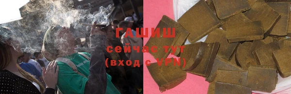 гашик Арсеньев
