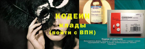 гашик Арсеньев