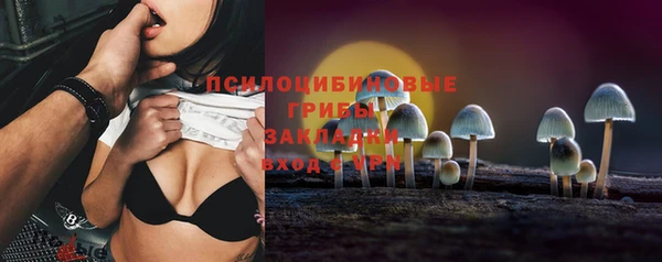 прущая мука Армянск