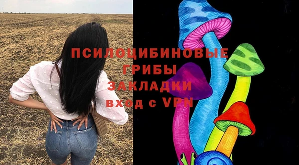 прущая мука Армянск