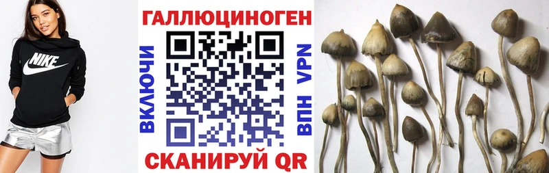 Псилоцибиновые грибы Psilocybine cubensis  купить наркотик  Новомосковск 