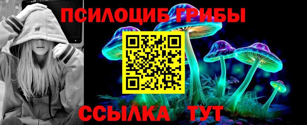 Галлюциногенные грибы мухоморы Новомосковск