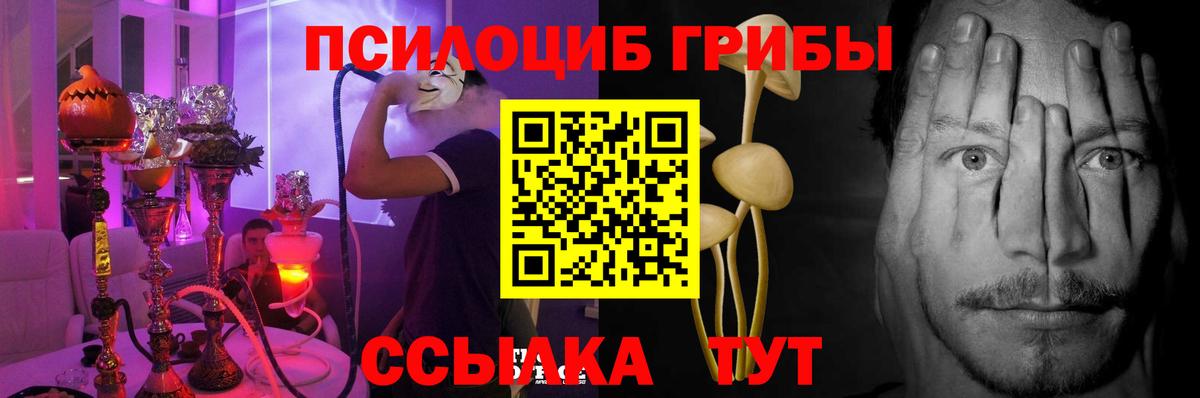 Новомосковск  Псилоцибиновые грибы Cubensis  Вход с VPN 